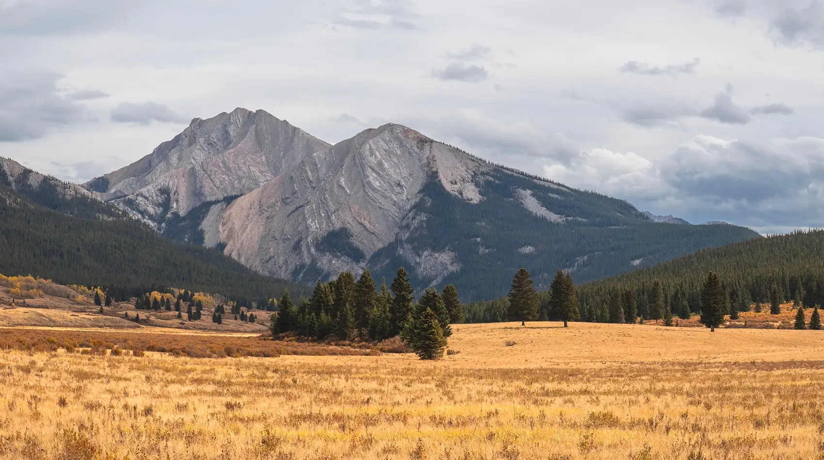 Why It Makes the Cut